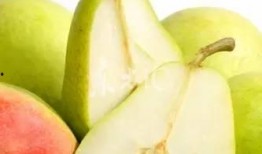 吃瓜小语,揭秘娱乐圈幕后故事