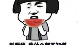 理智吃瓜视频全集,揭秘全网热门事件背后的真相