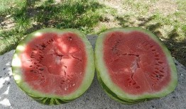 梦见吃邻居的瓜,揭秘吃邻居瓜的神秘寓意